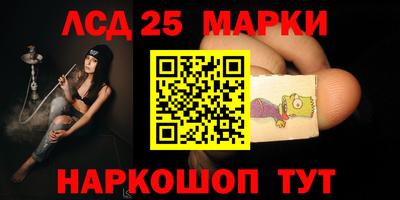 кокс Донской