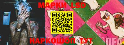 кокс Донской