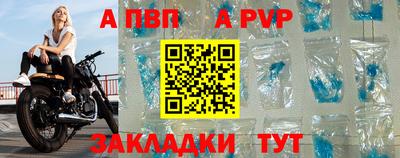 кокс Донской