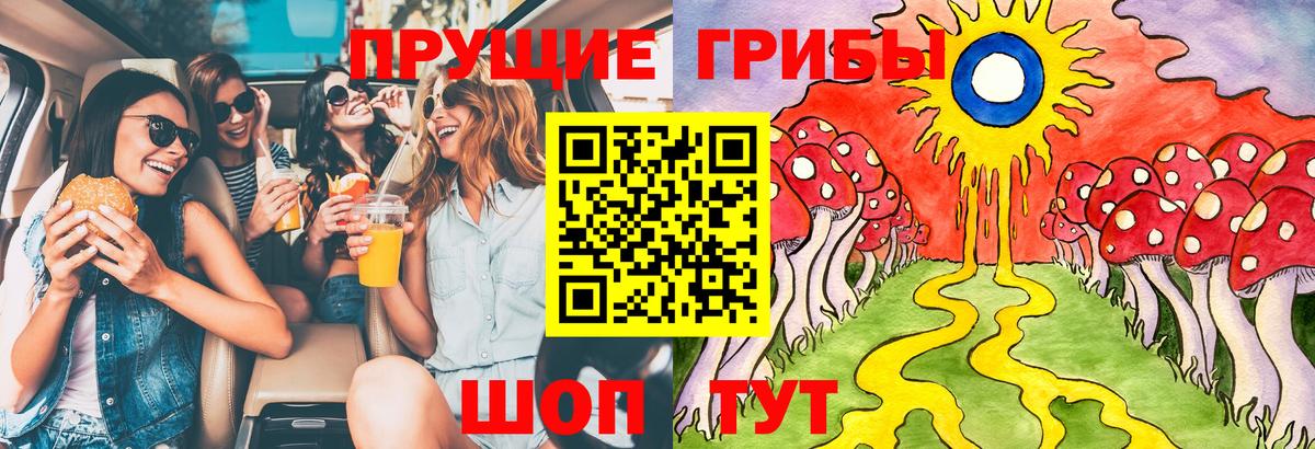 Набережные Челны  Псилоцибиновые грибы Psilocybe  Вход с VPN 